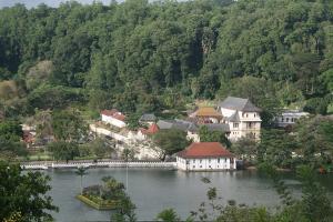 Kandy Zahn Tempel